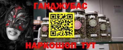 сатива Можайск