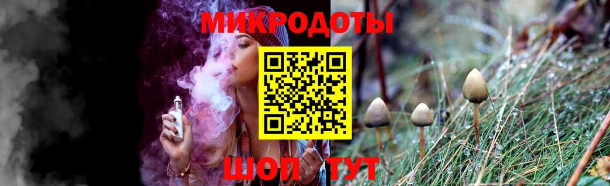 Югорск  Псилоцибиновые грибы Psilocybe  Вход с VPN 